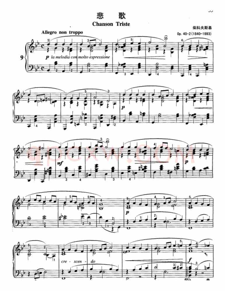 不可不弹的世界钢琴名曲：悲歌