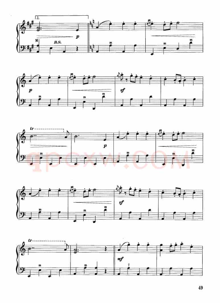 金婚进行曲