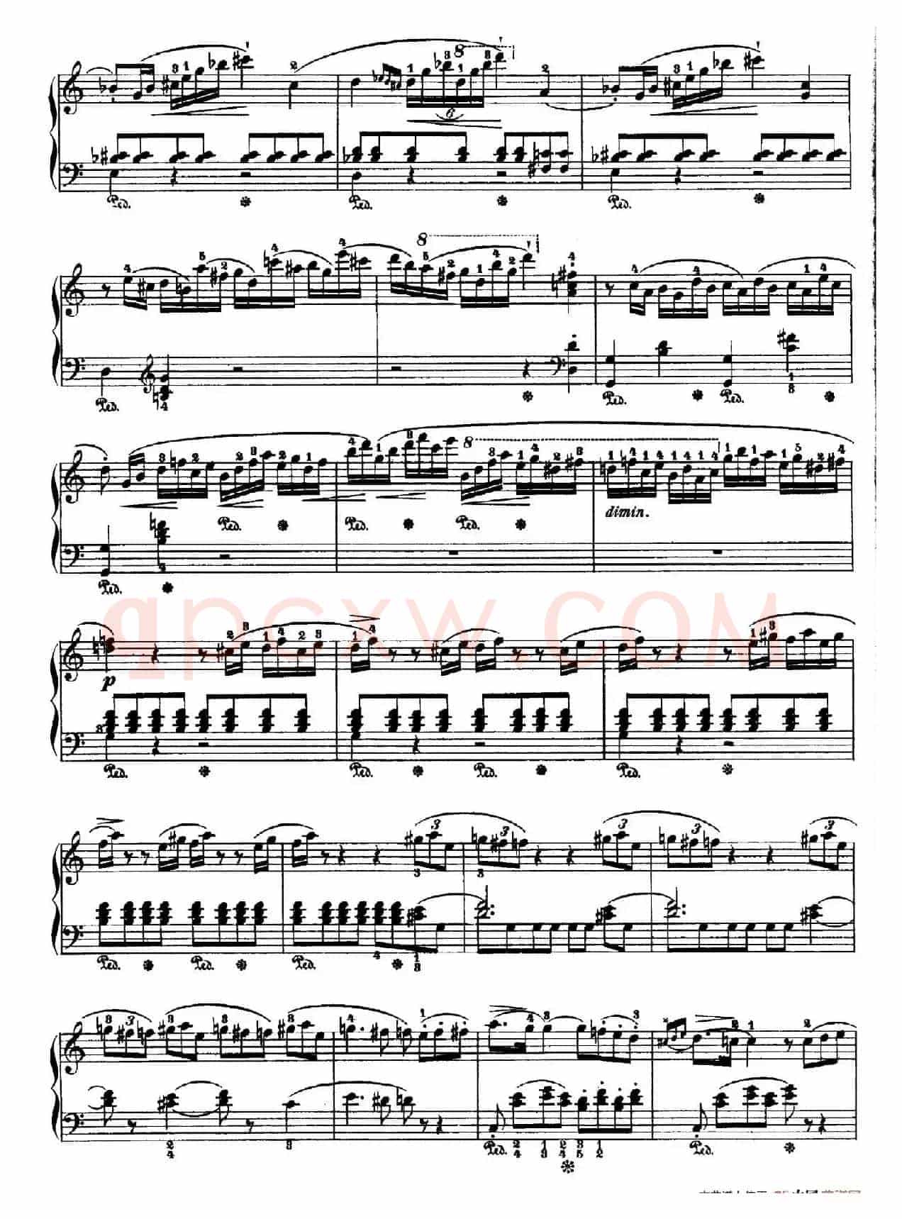 Nocturne No.14 in C Major（C大调第十四号夜曲）