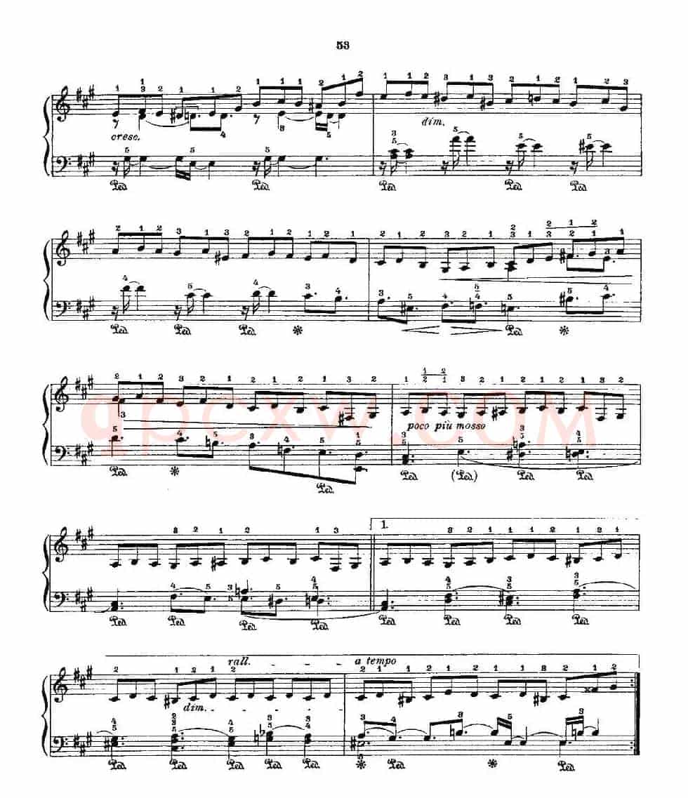 肖邦《练习曲》Fr.Chopin Op.25 No2-4