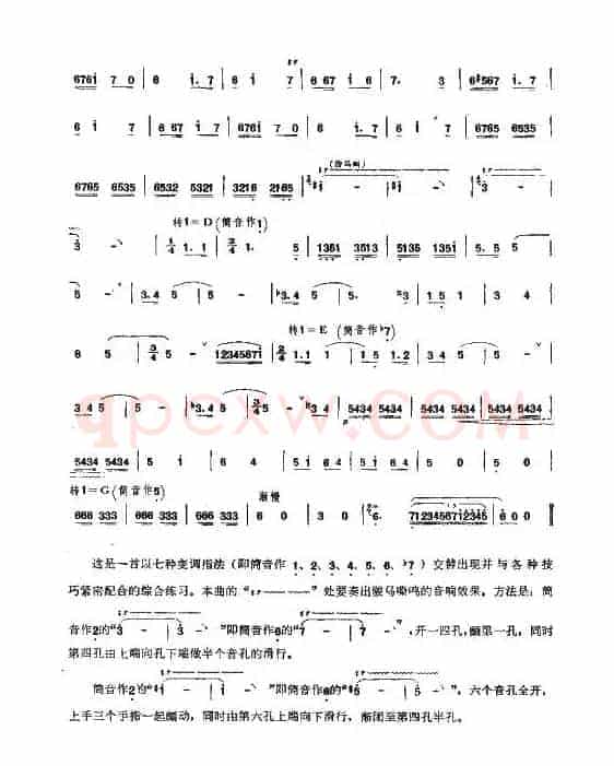 我的骏马