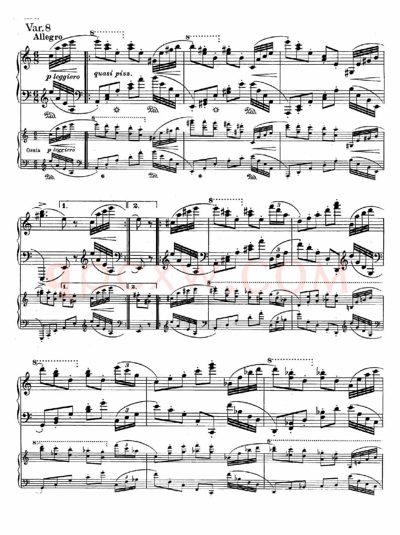 帕格尼尼主题变奏曲（Op.35 Livre2）