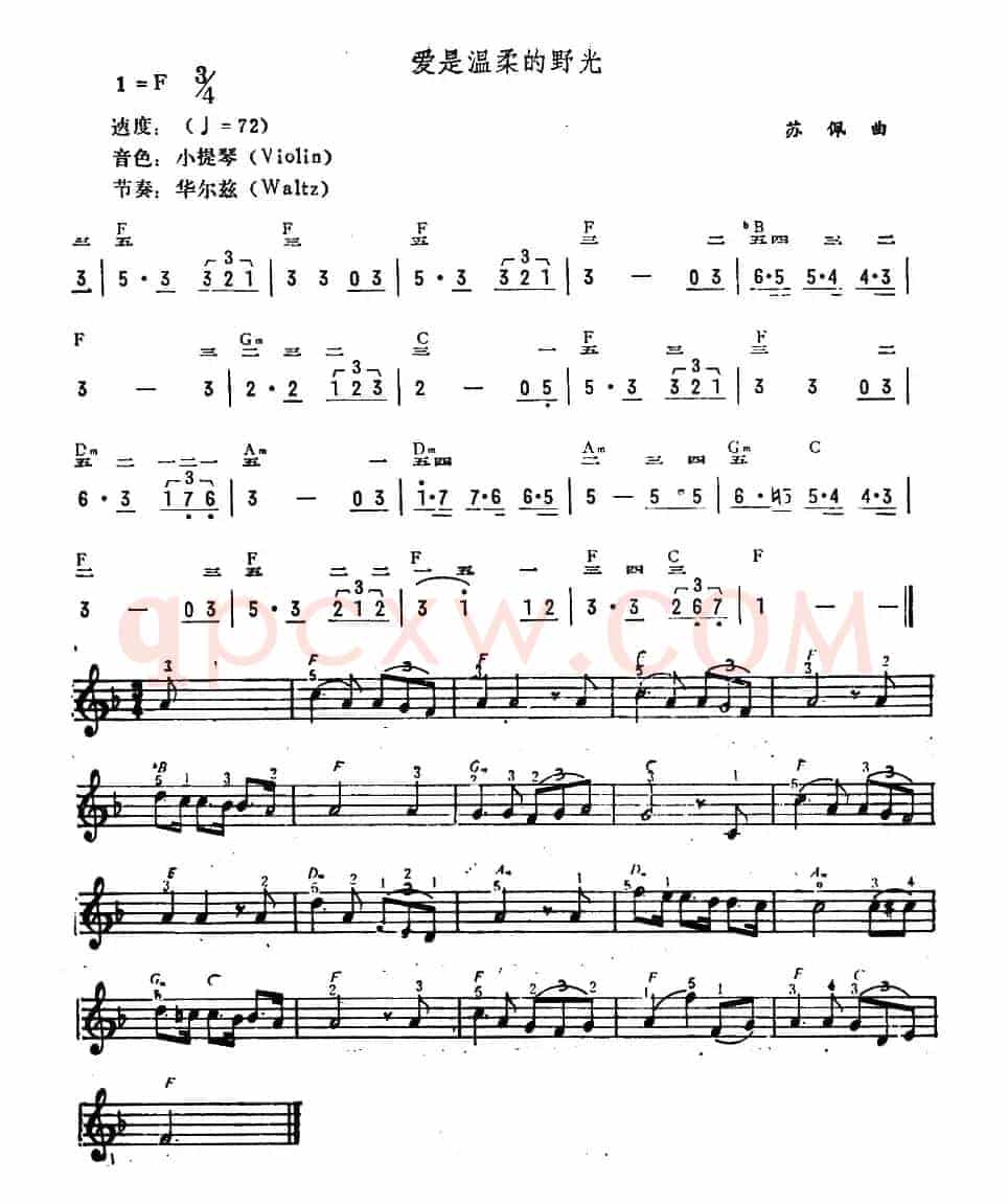 爱是温柔的野光