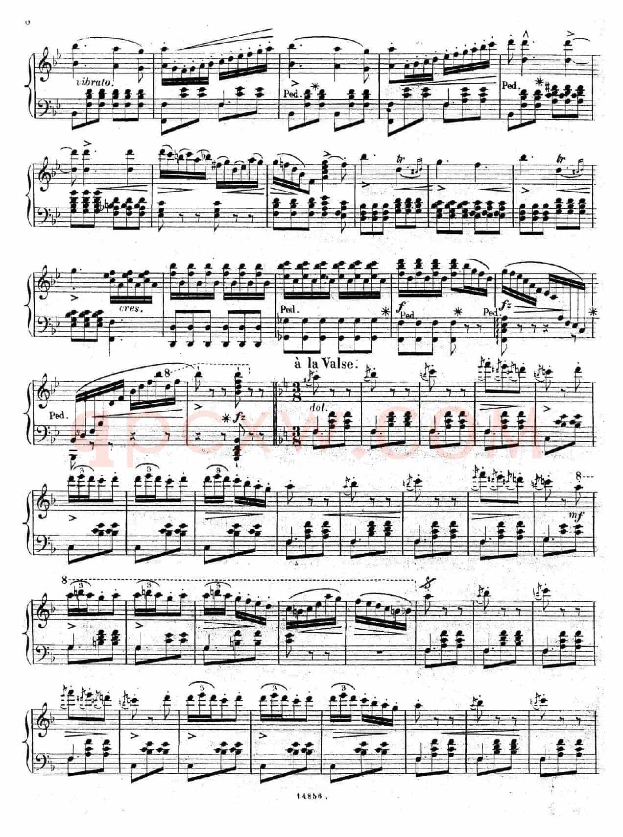 Bouquet de Melodies（茶花女幻想曲）