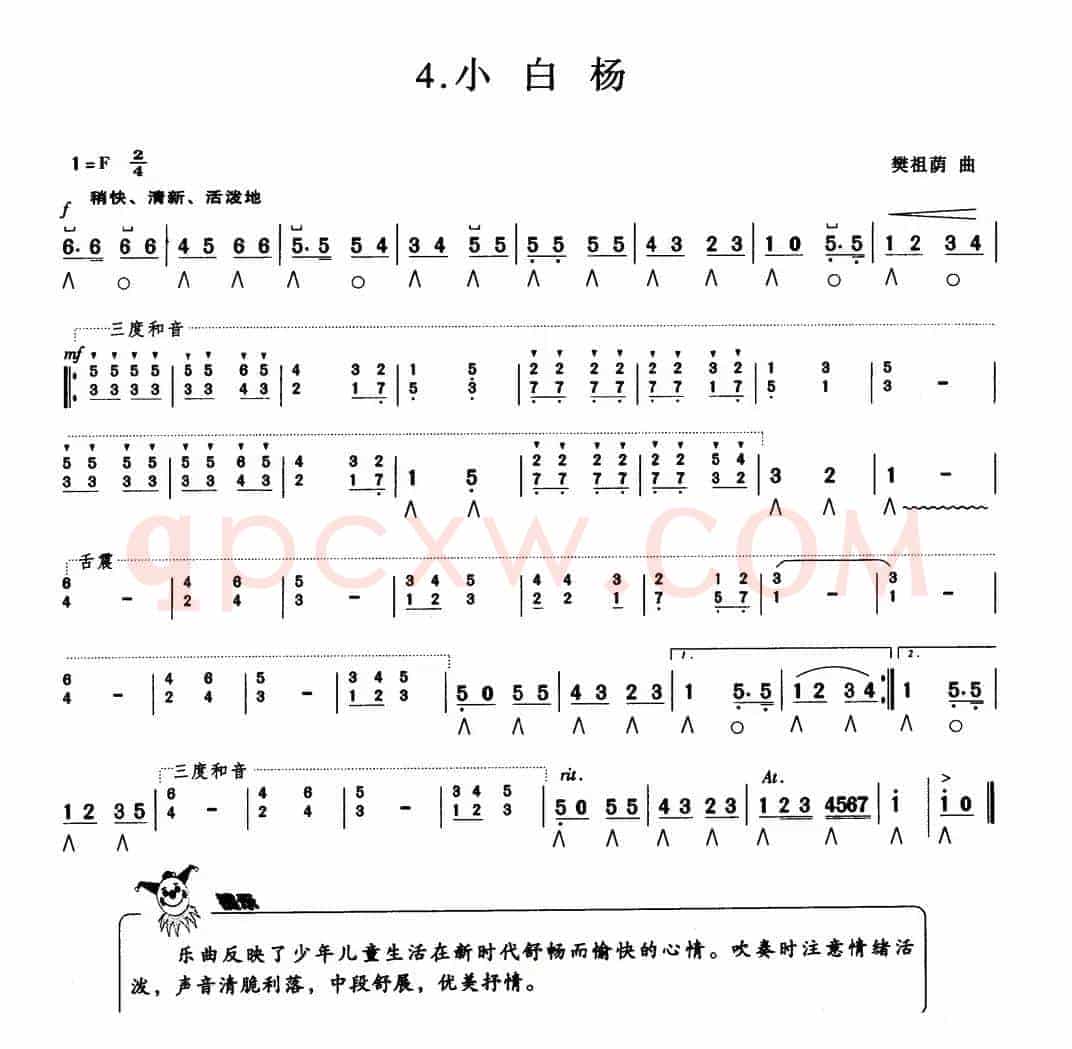 小白杨