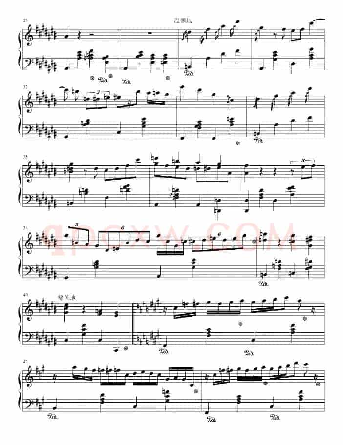 大夜洛之夜曲