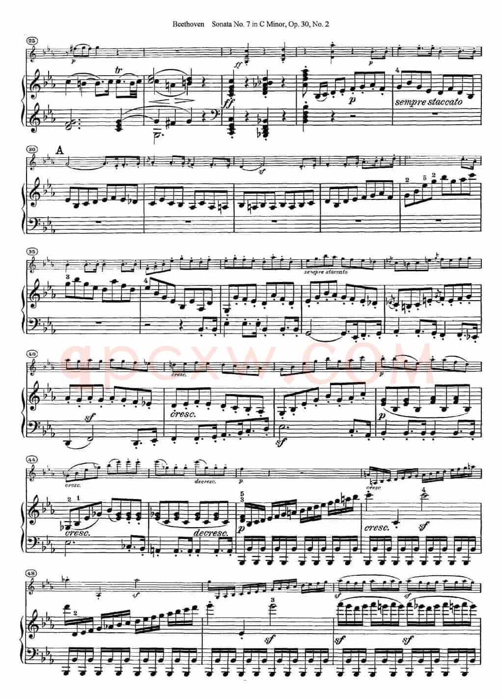 Violin Sonata No.7 in C Minor Op.30 No.2（小提琴+钢琴伴奏）