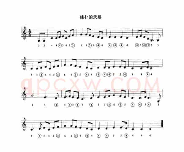 纯朴的天赐