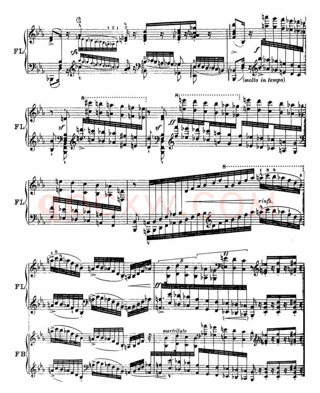 6首帕格尼尼大练习曲（Andantino capriccioso）