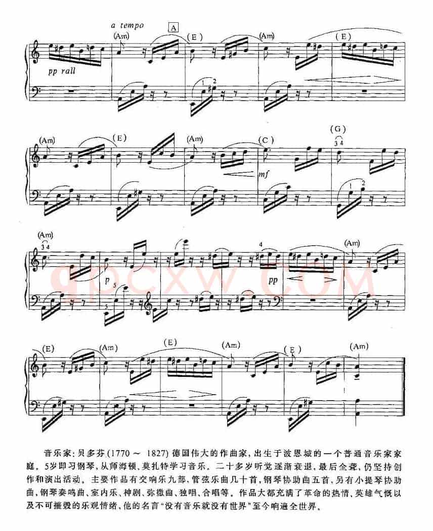 致爱丽丝