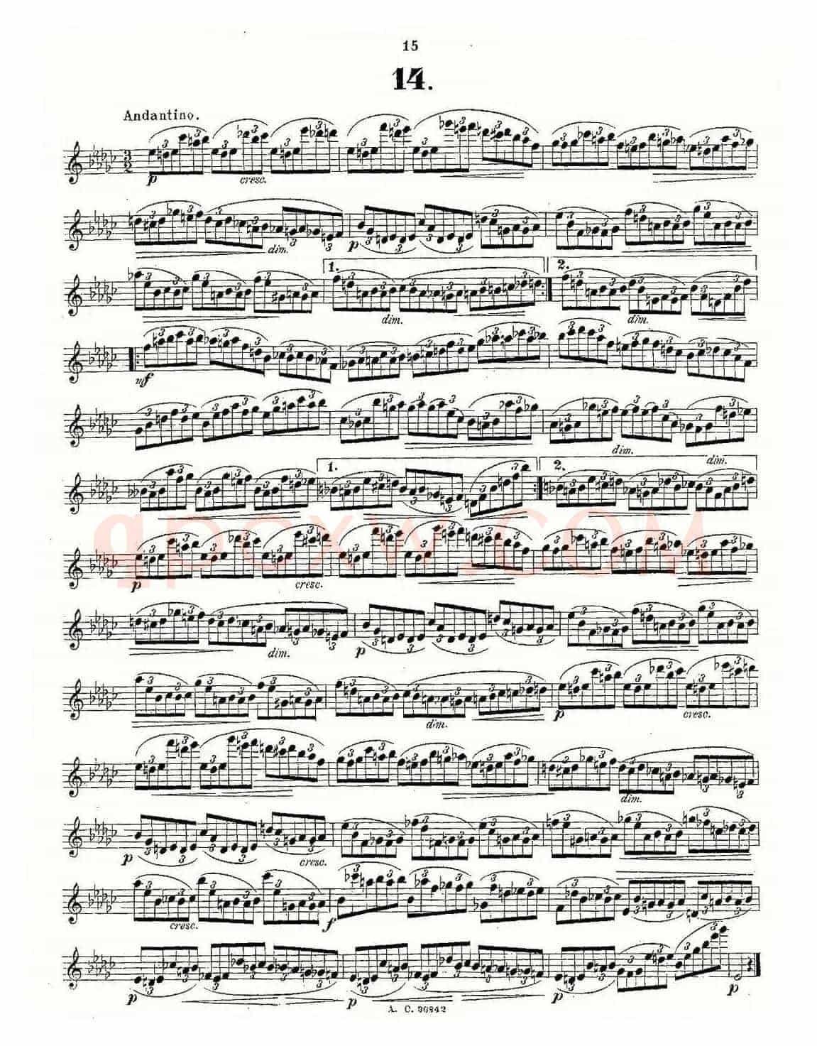 24首长笛练习曲 Op.21 之13—24