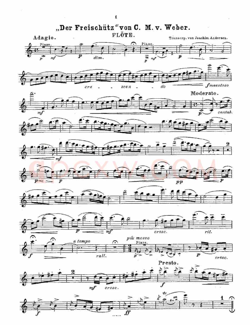 Opern-Transcriptionen.Op.45-7