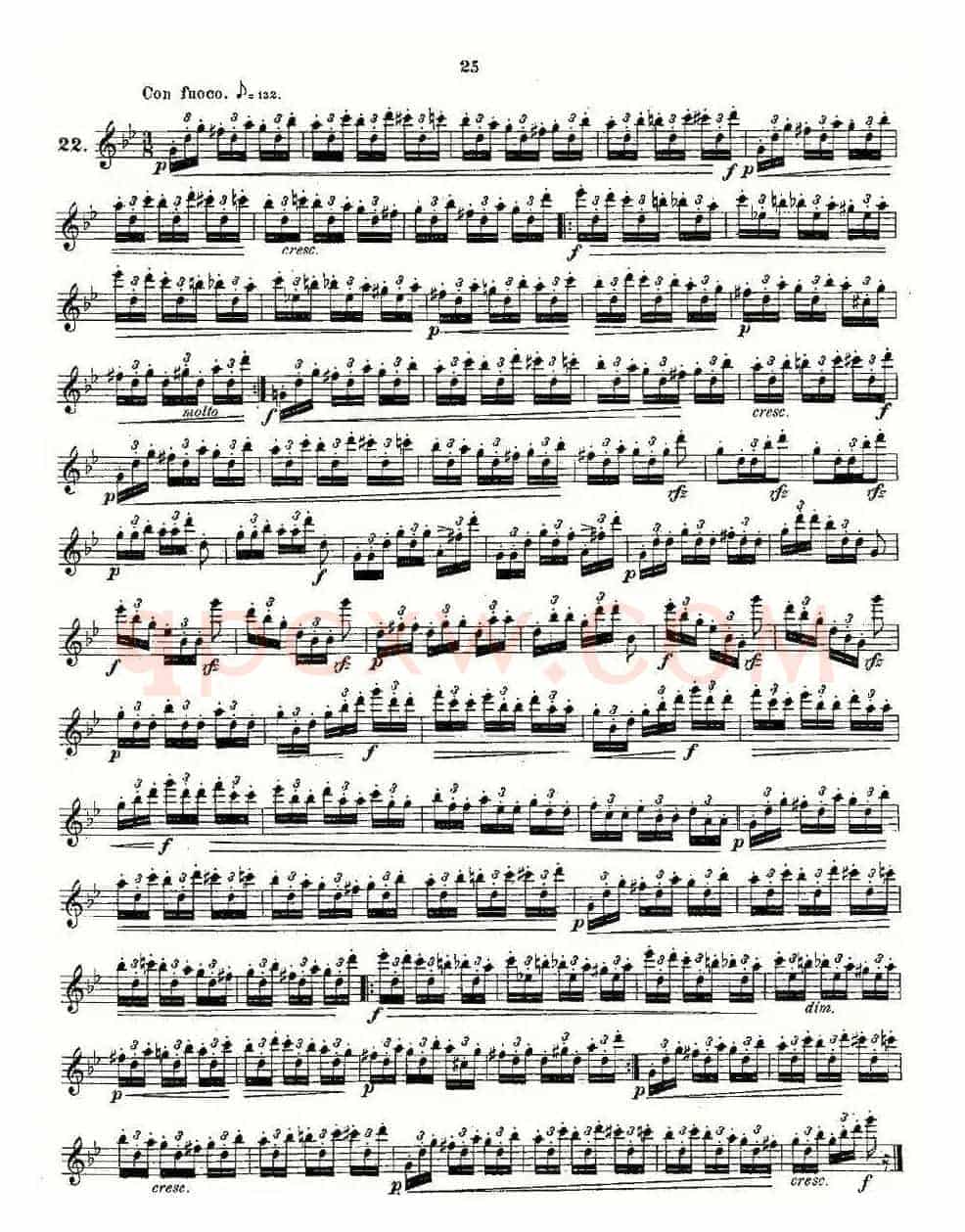 24 instructive Uebungen.Op.30（13—24）