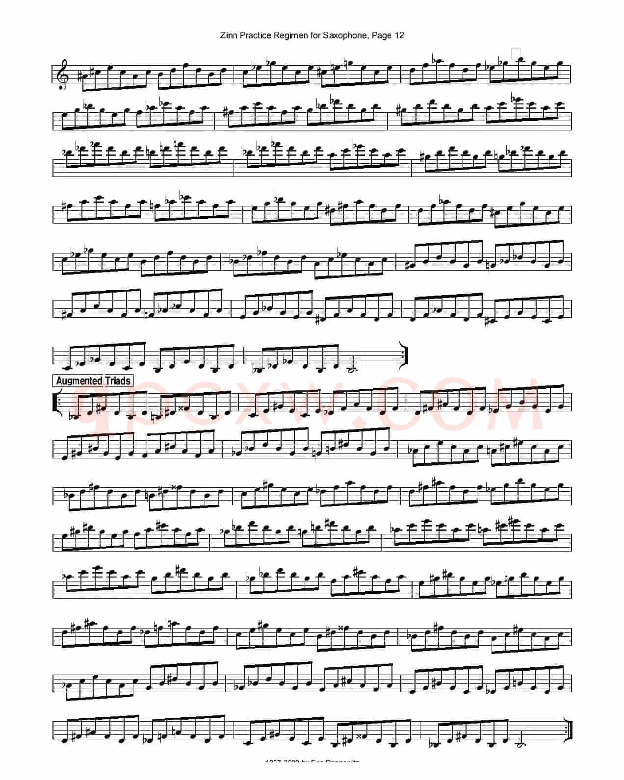 ZinnRegimenSax2009练习曲