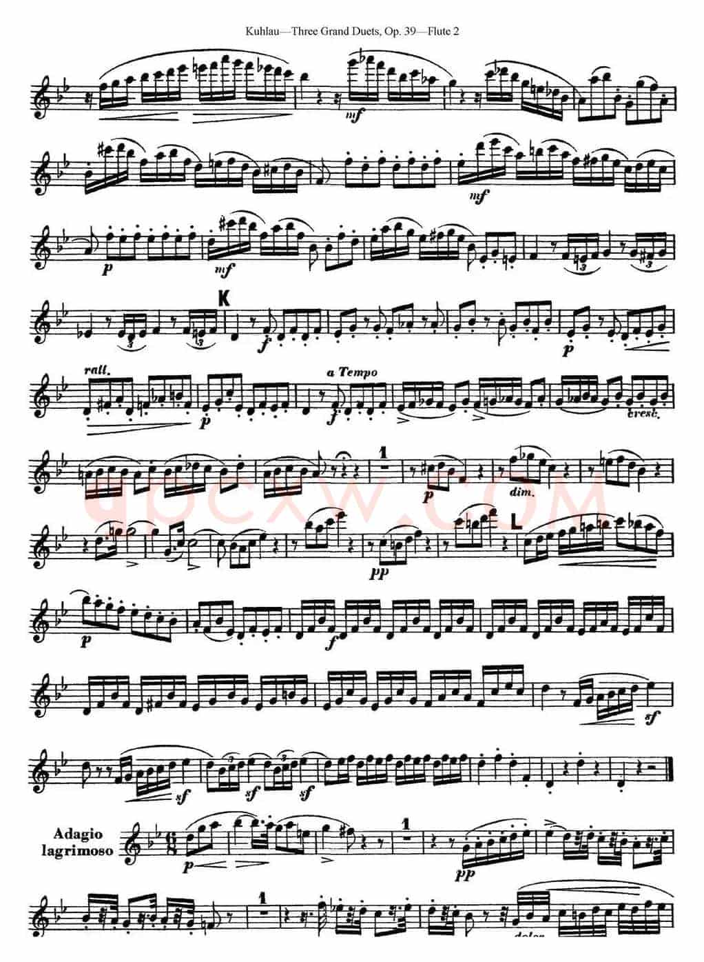 库劳长笛二重奏大练习曲Op.39——Flute 2（No.2）