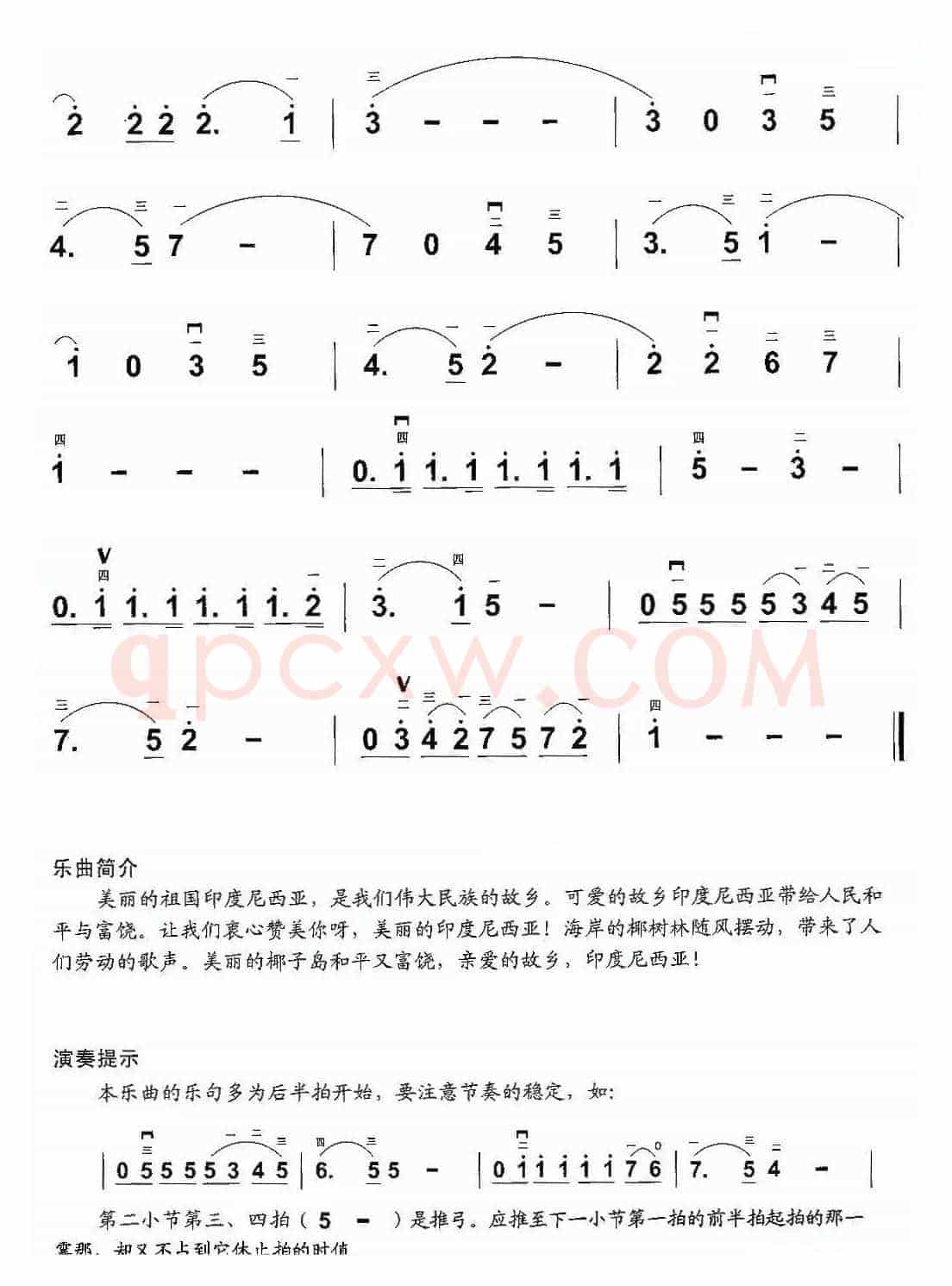 椰岛之歌