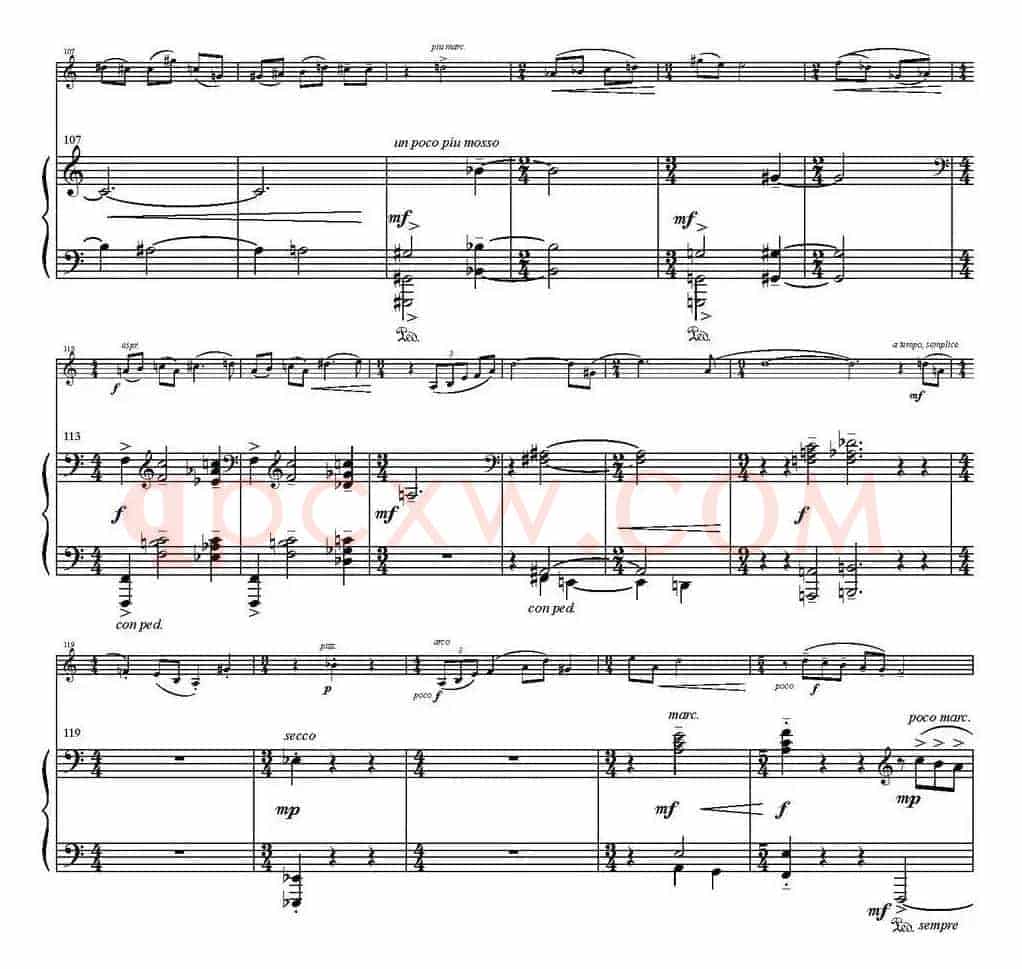 Sonata Poema aenigmaticum（小提琴+钢琴伴奏、1st movement）