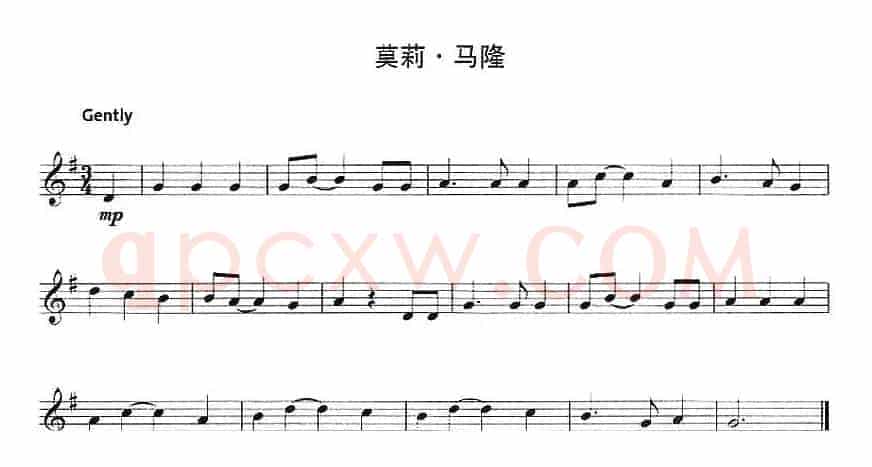 莫莉·马隆
