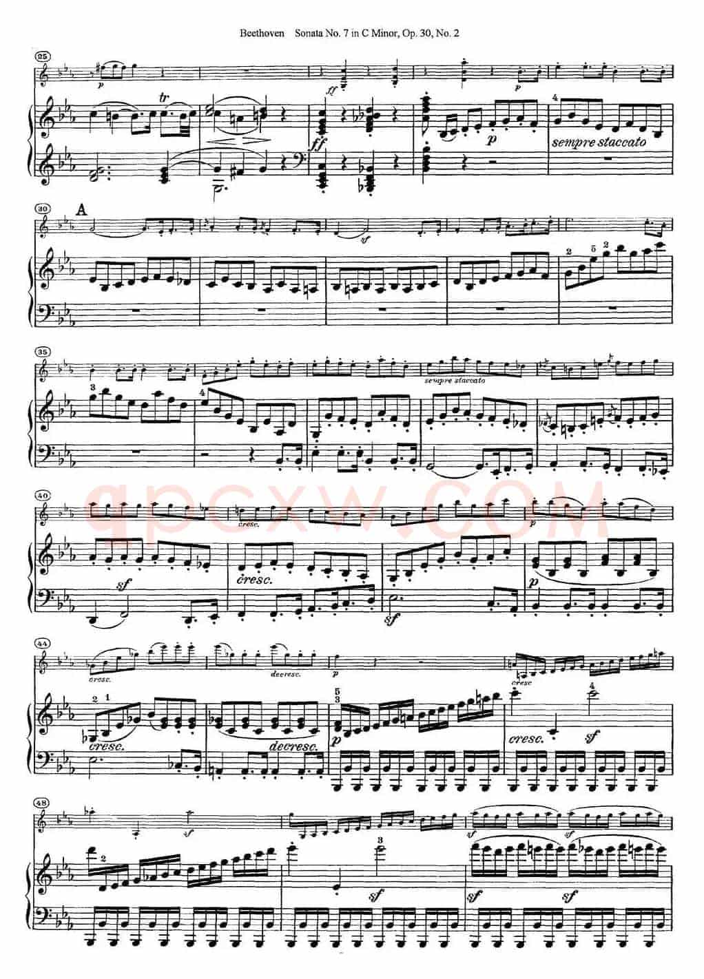 Violin Sonata No.7 in C Minor Op.30 No.2（小提琴+钢琴伴奏）