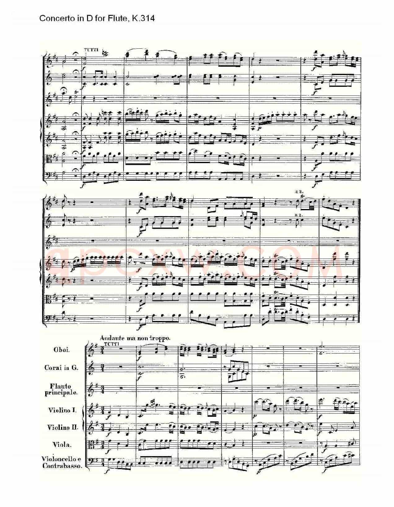 Concerto in D for Flute, K.314（D调长笛协奏曲, K.314）