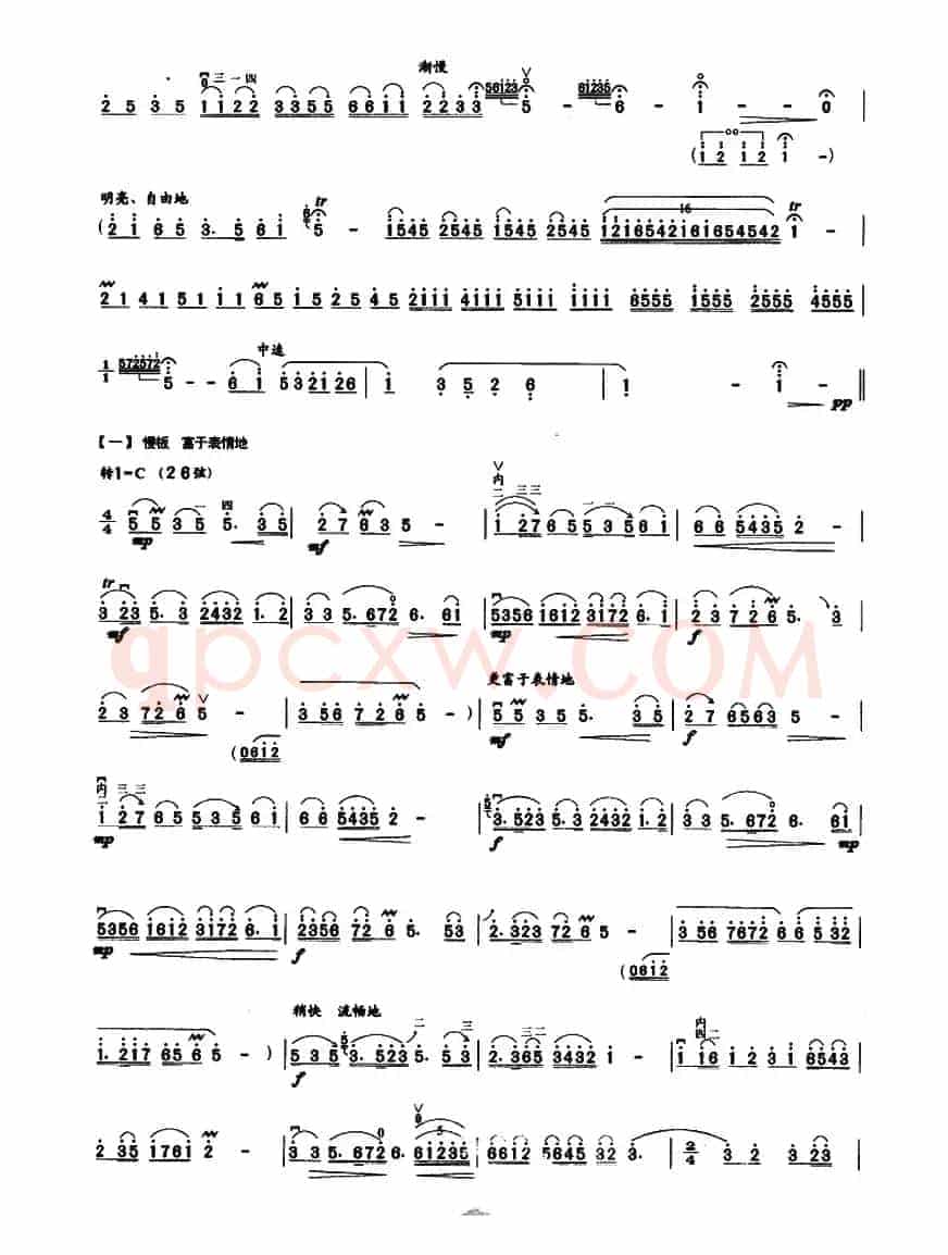 红梅随想曲