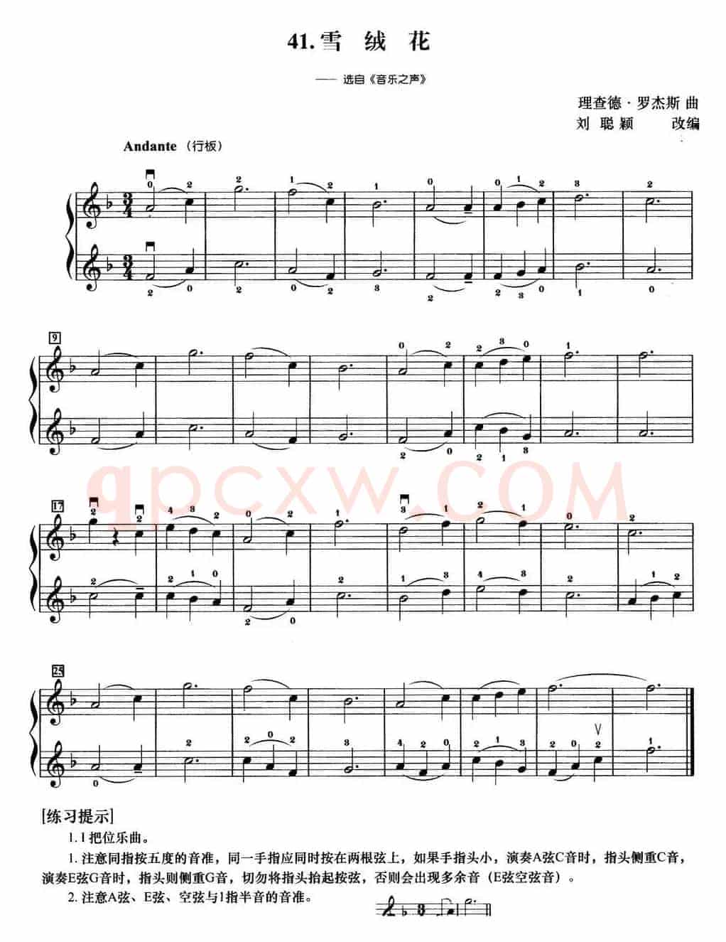 初级小提琴二重奏：雪绒花（选自《音乐之声》）