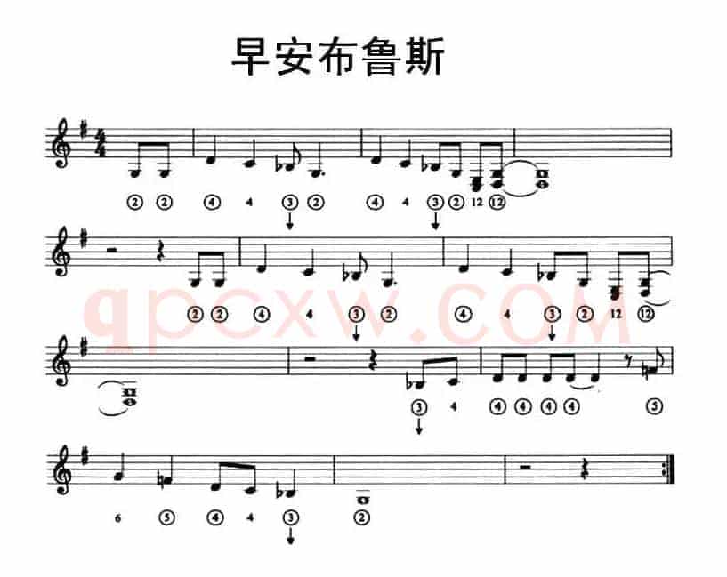 早安布鲁斯