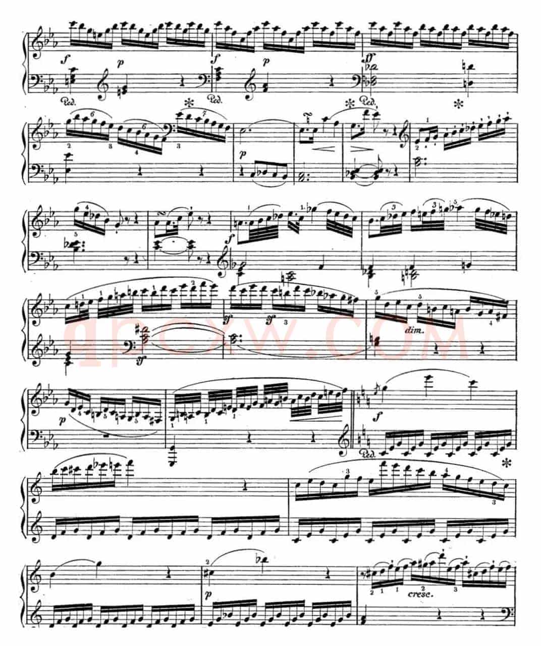 海顿 钢琴奏鸣曲 Hob XVI 48 in C major