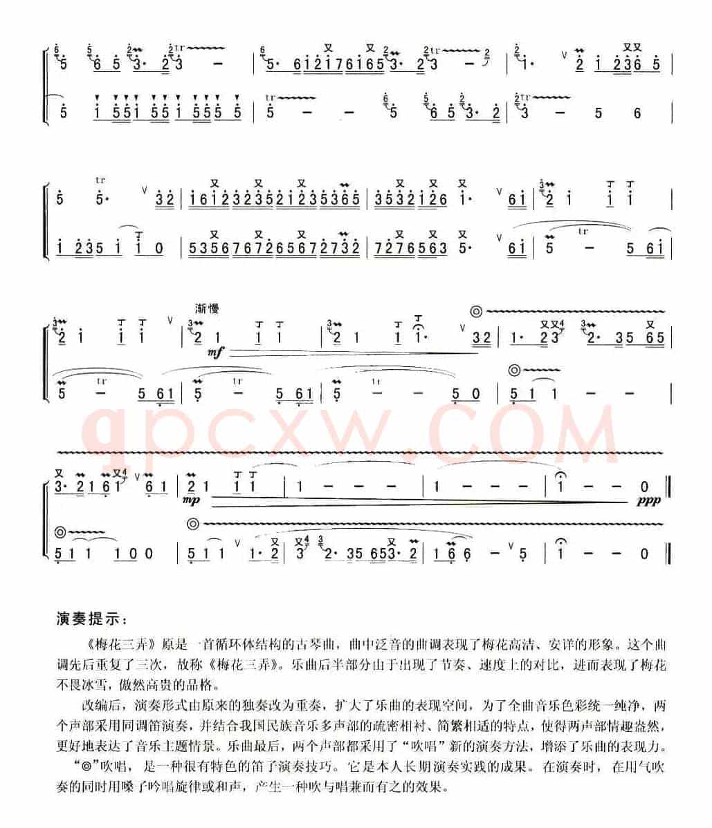 梅花三弄（孙学建改编版、二重奏）