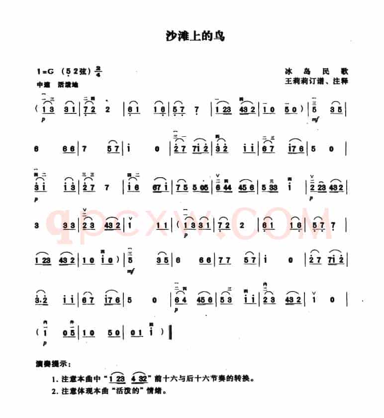 沙滩上的岛