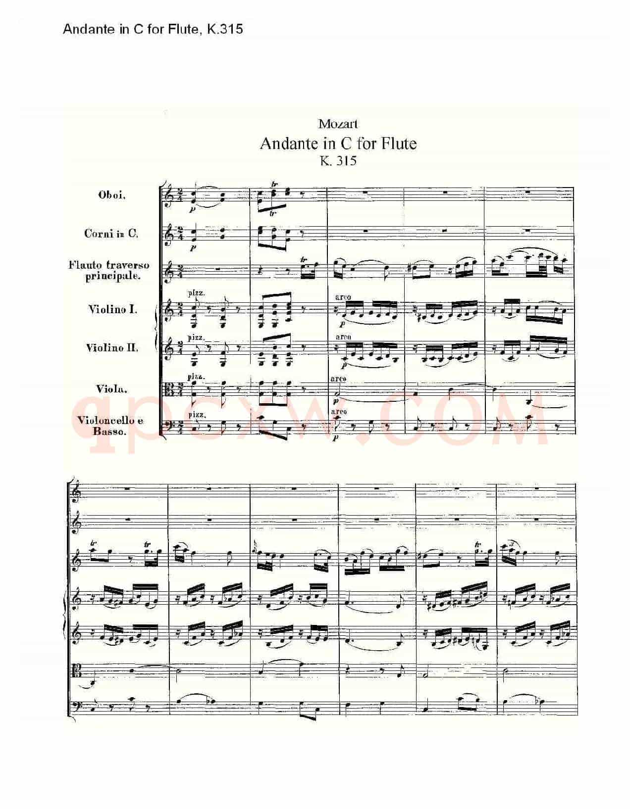 Andante in C for Flute, K.315(D调长笛行板协奏曲, K.315)