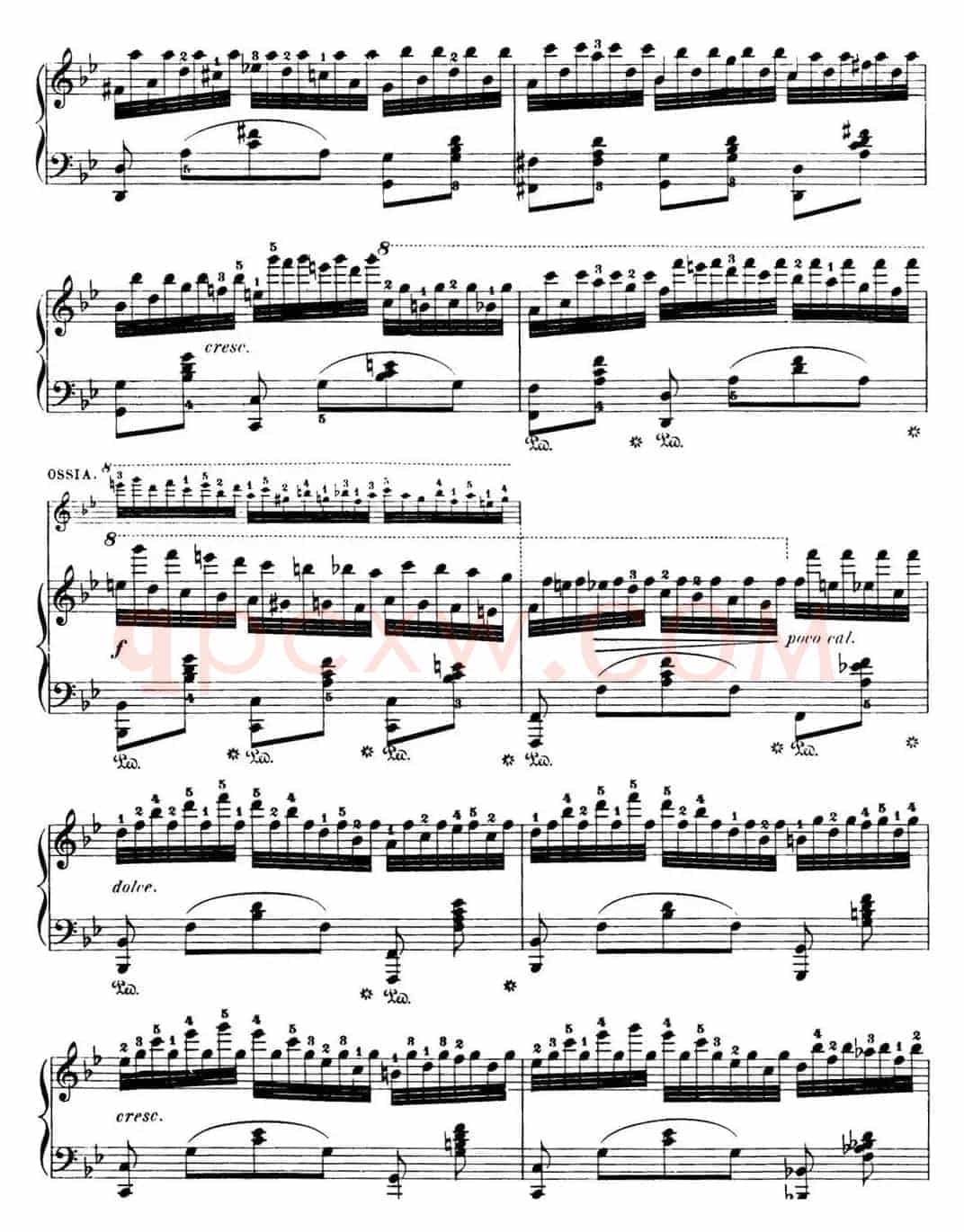 50首车尔尼Op.740钢琴手指灵巧技术练习曲（NO.19）