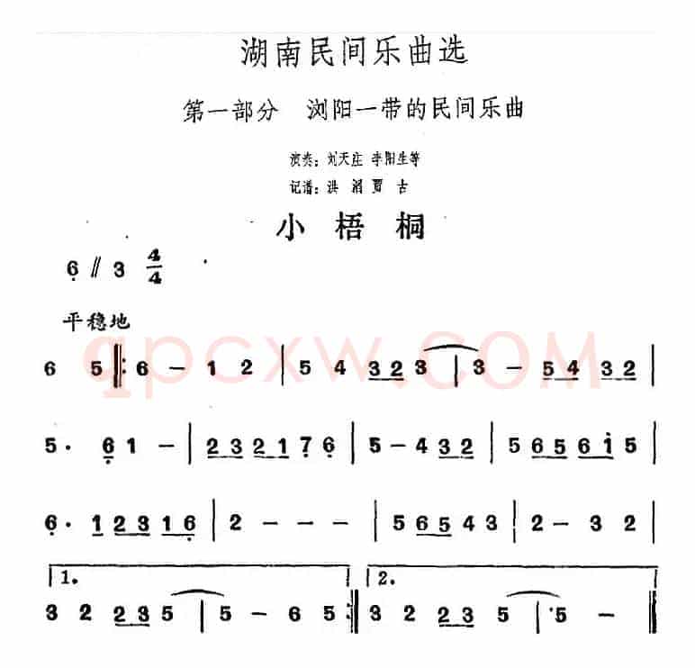 湖南民间乐曲选：小梧桐