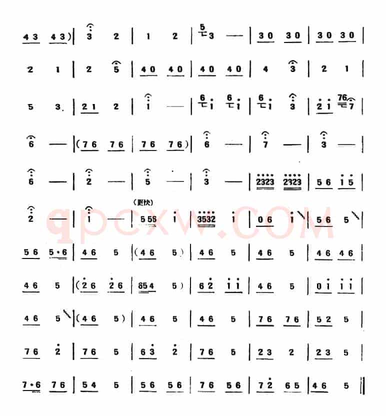 大合套（山东民乐、唢呐）