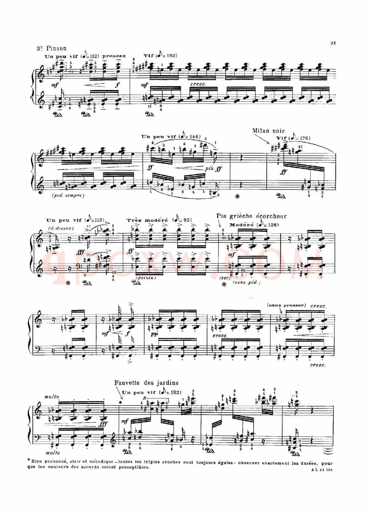 La Fauvette des Jardins（园林莺）