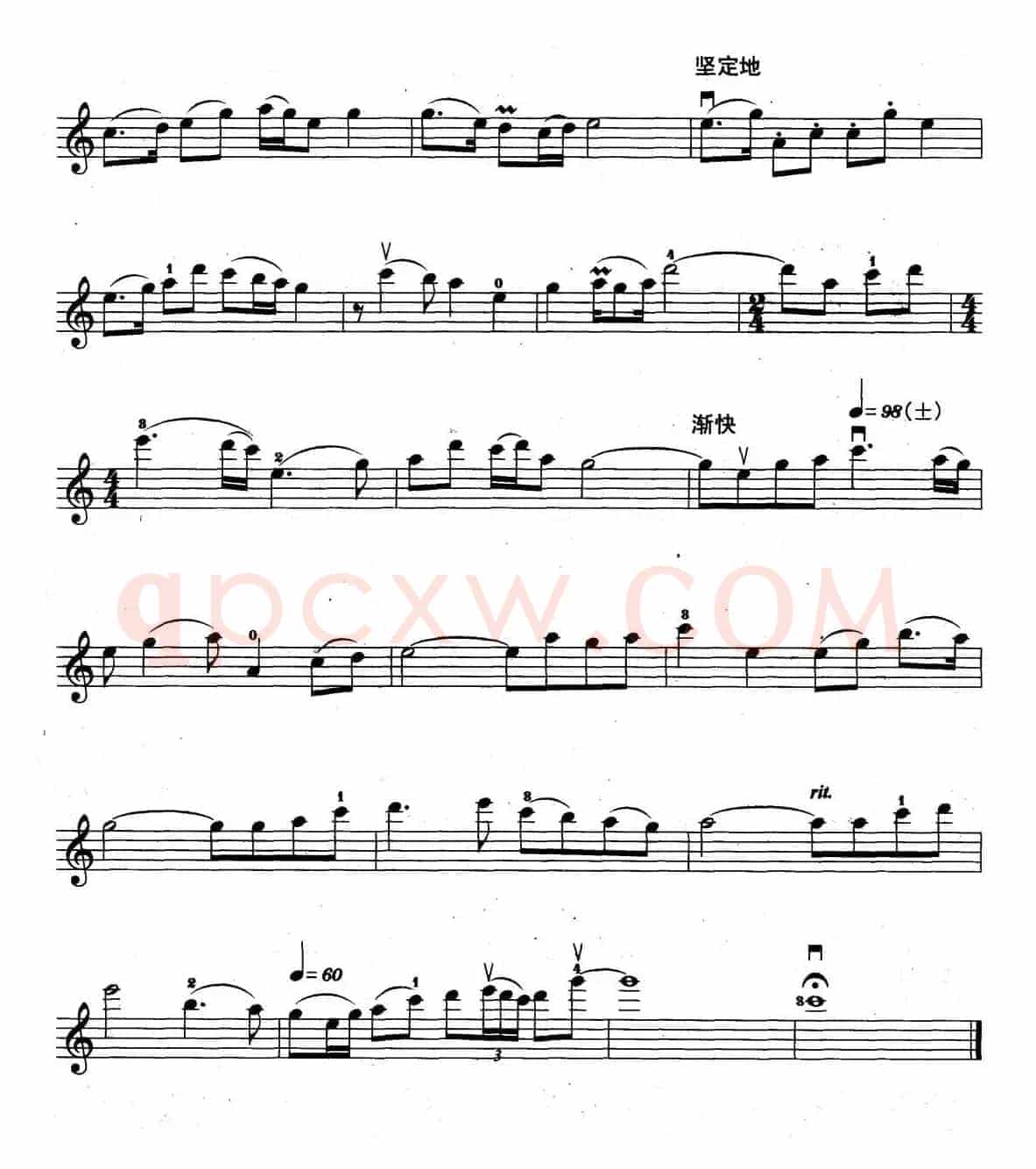 英雄赞歌（电影《英雄儿女》插曲）（高炳点改编、罗艳订弓指法）