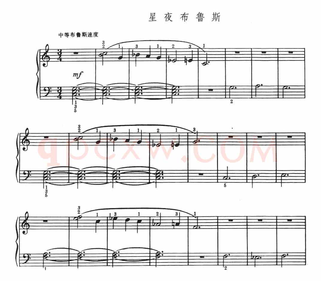 星夜布鲁斯