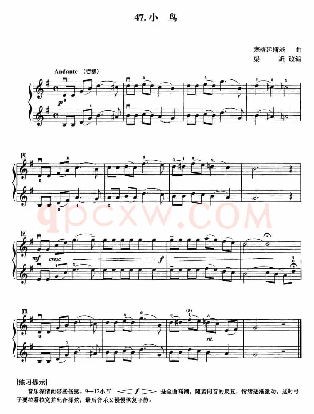 初级小提琴二重奏：小鸟