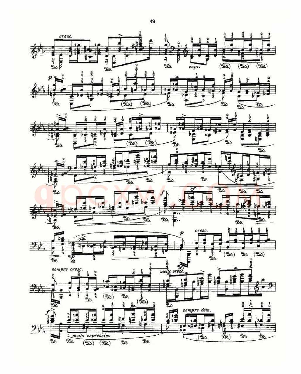 肖邦《练习曲》Fr.Chopin Op.10 No7-3