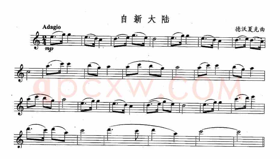自新大陆