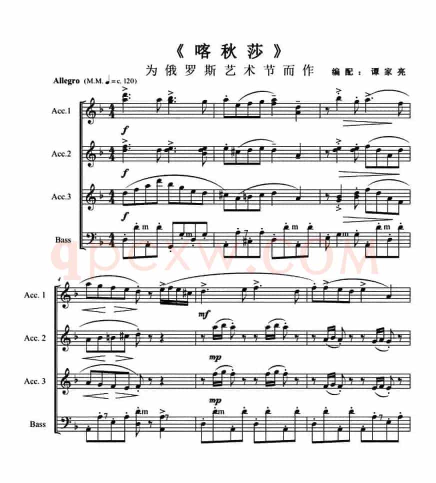 喀秋莎(2016 俄罗斯符拉迪沃斯托克(海参崴)国际手风琴乐团音乐节)