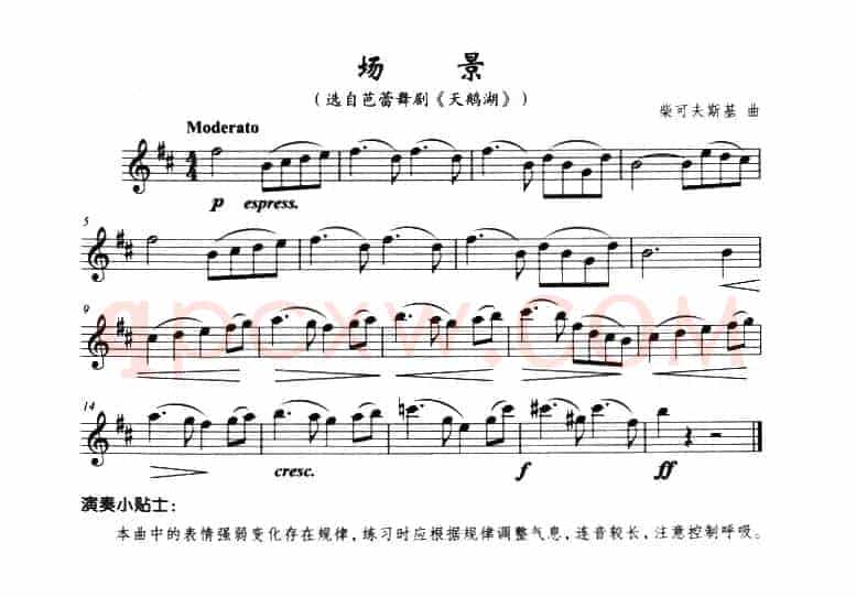 场景（选自《天鹅湖》）