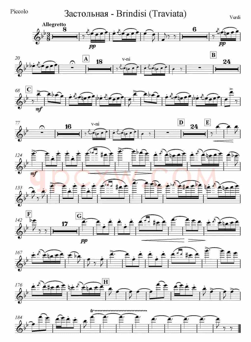Brindisi(Traviata) 饮酒歌（管弦乐） （短笛分谱）