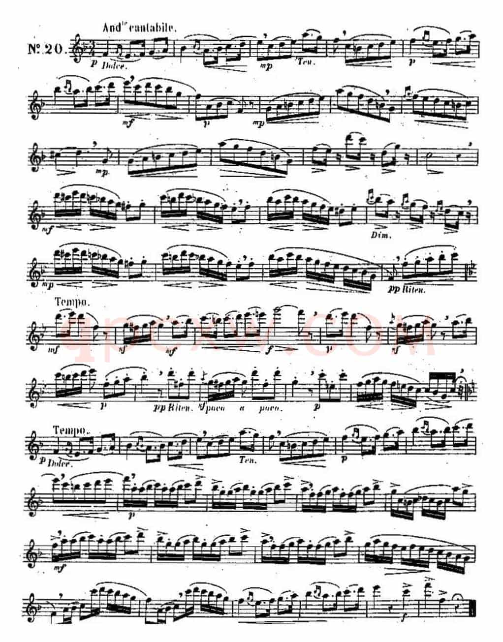 二十首练习曲作品131号(NO.20)
