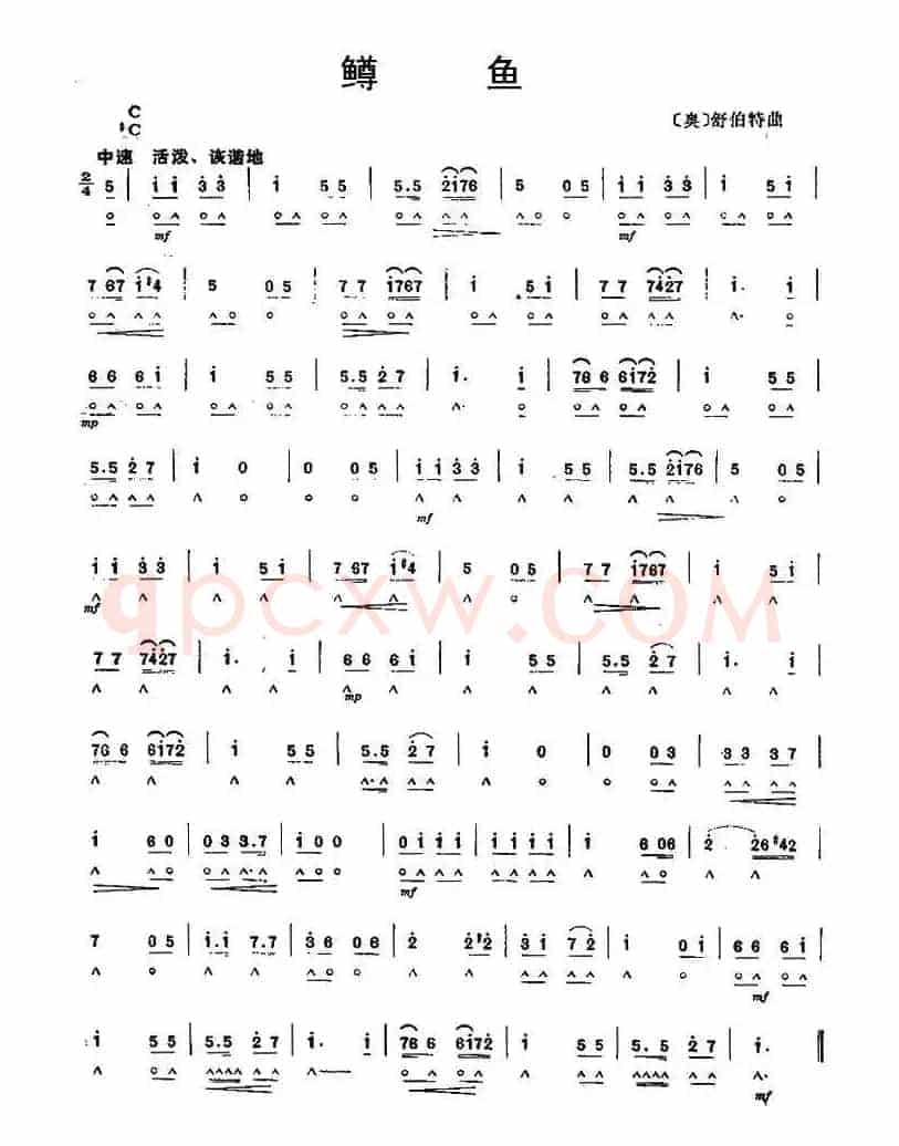 鳟鱼