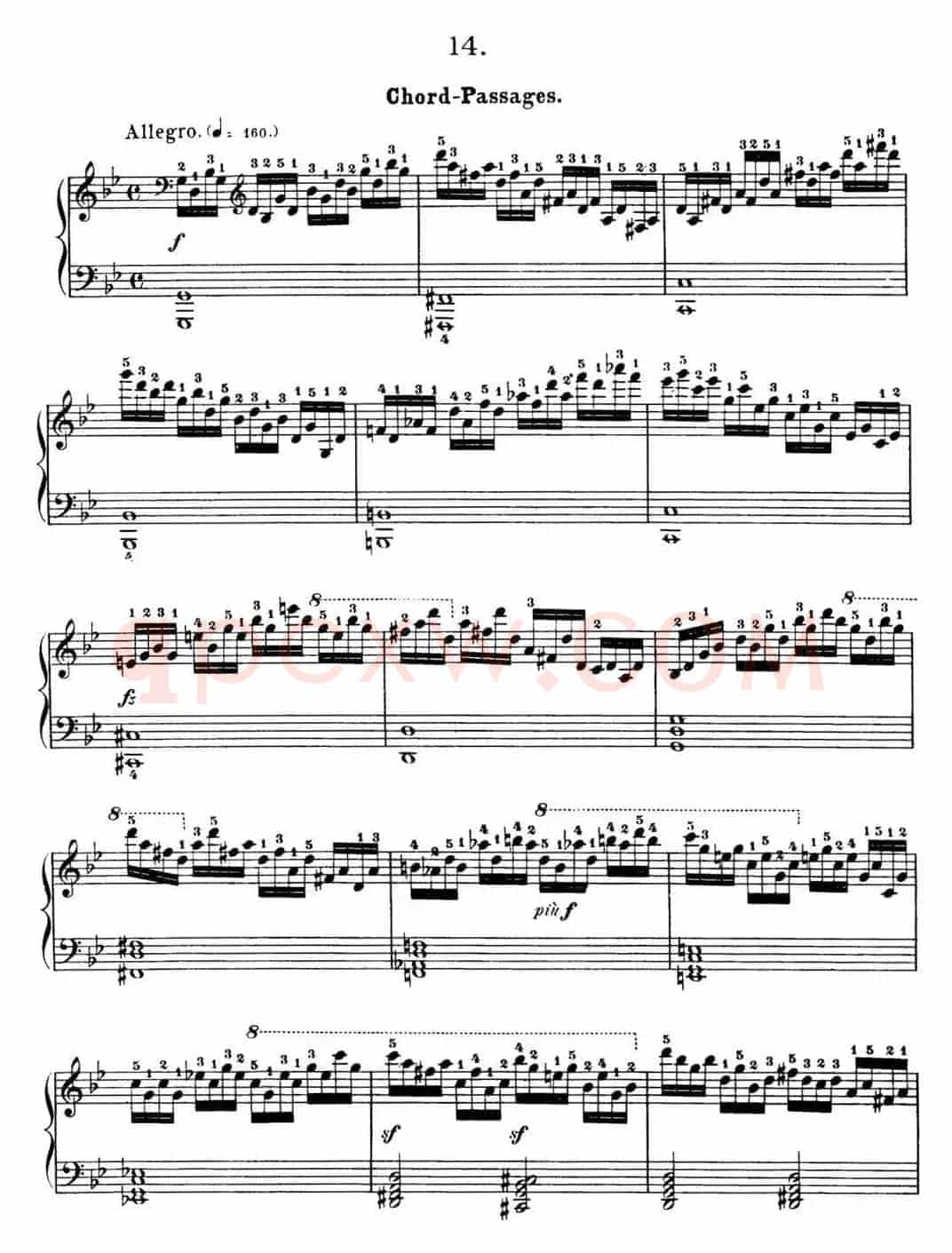 50首车尔尼Op.740钢琴手指灵巧技术练习曲（NO.14）