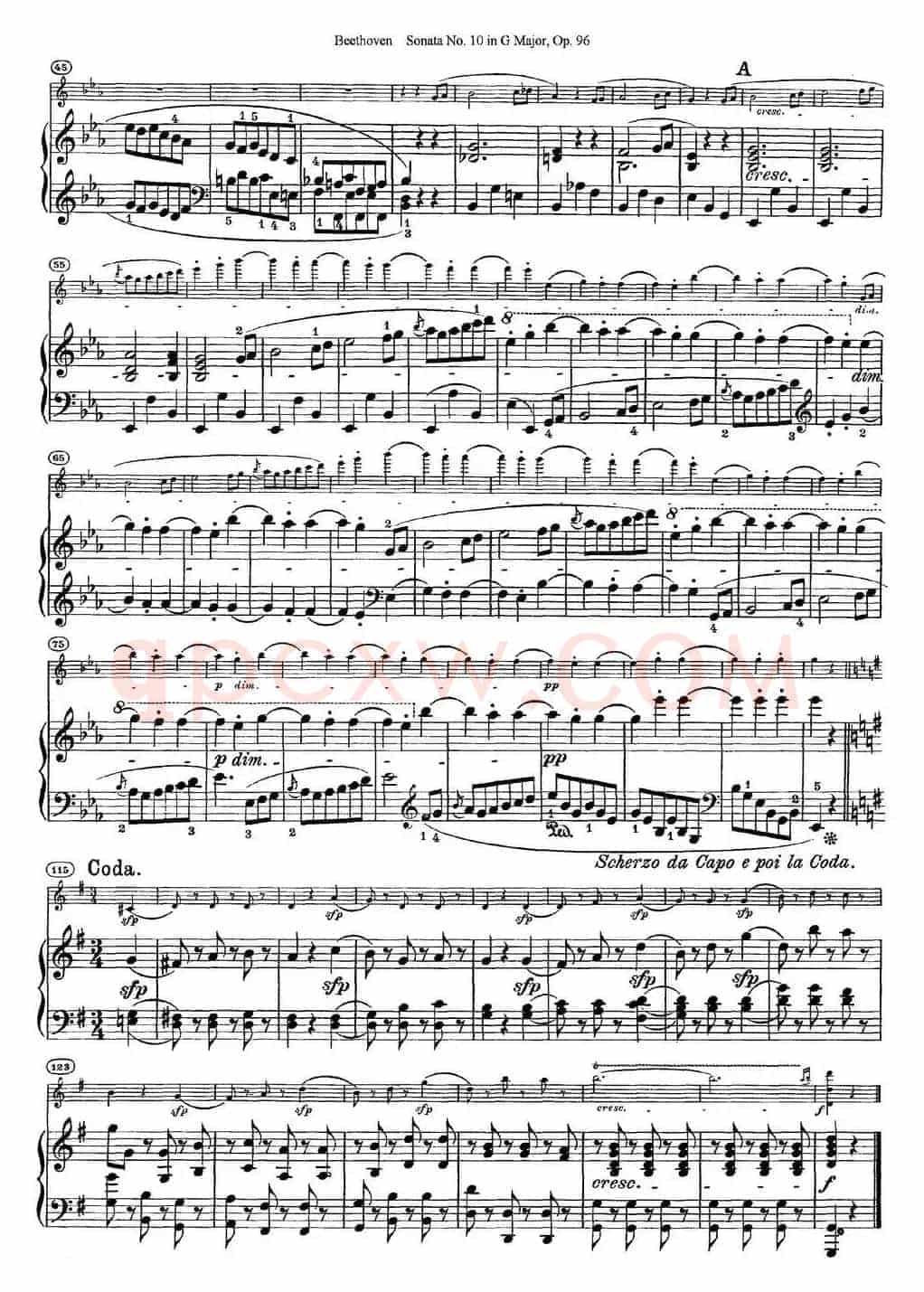 Violin Sonata No.10 in G Major Op.96（小提琴+钢琴伴奏）