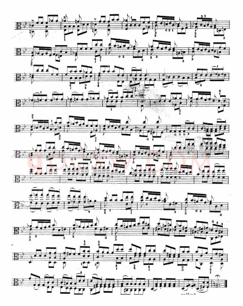 克莱采尔《中提琴练习曲40首》（ETUDE 39-40）