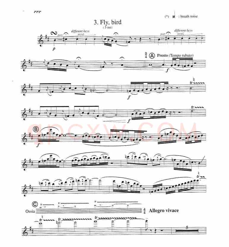 须川展也的《Fuzzy Bird Sonata》（Fly, Bird)毛绒鸟奏鸣曲之）