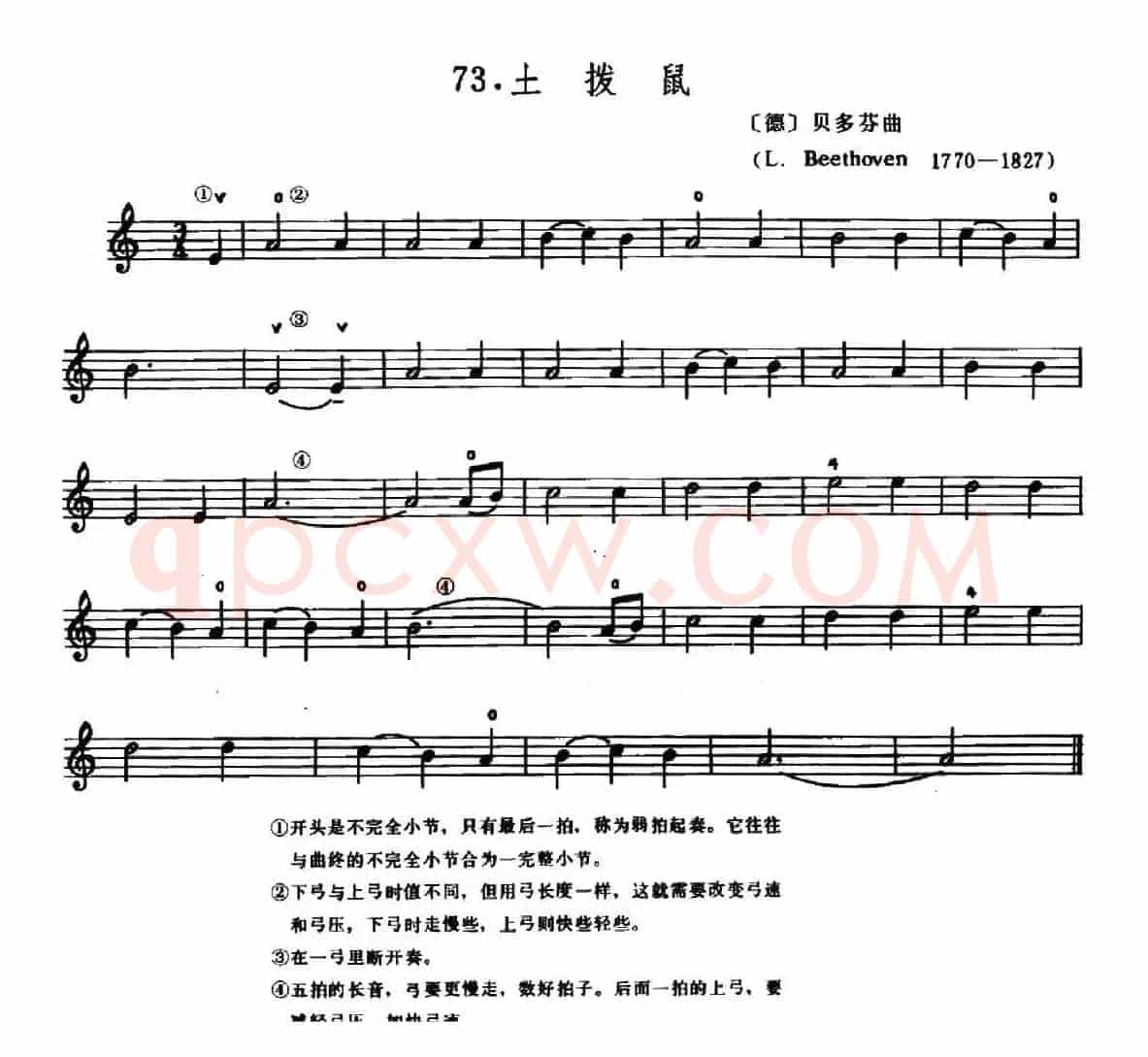 学琴之路练习曲73、土拨鼠